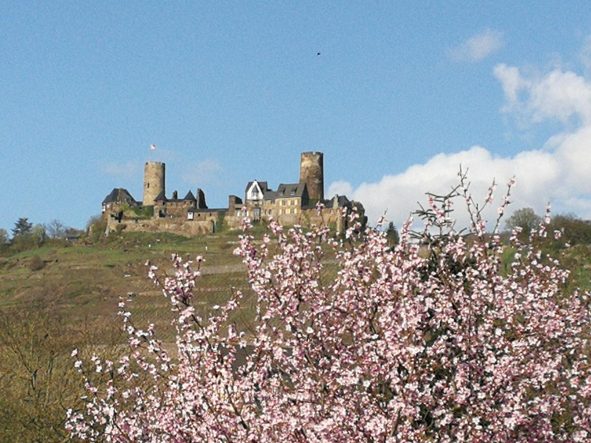 אלקן Winzerhof Brachtendorf מראה חיצוני תמונה
